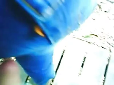 Blowjob từ một brunette và làm phim sex nhat ban khong che moi nhat tình cạo âm đạo